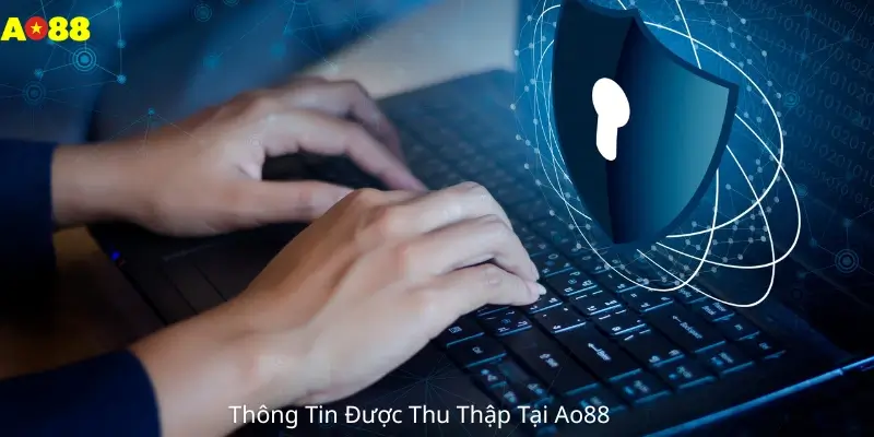 Thông Tin Được Thu Thập Tại Ao88